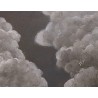 17 Vapeurs